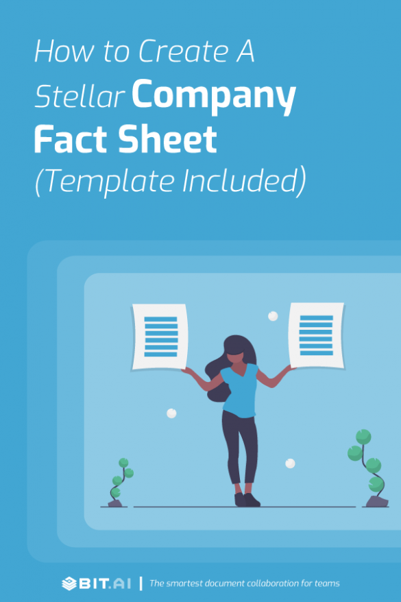 How to Create a Killer Fact Sheet? (Steps and Template Included)