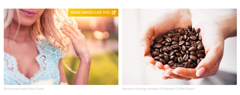 PicJumbo: Free Stock Photos Website