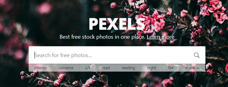 Pexels: Free Stock Photos Website