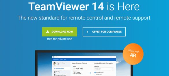 how many people in one presentation can teamviewer support