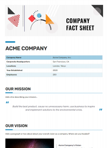 company fact sheet template