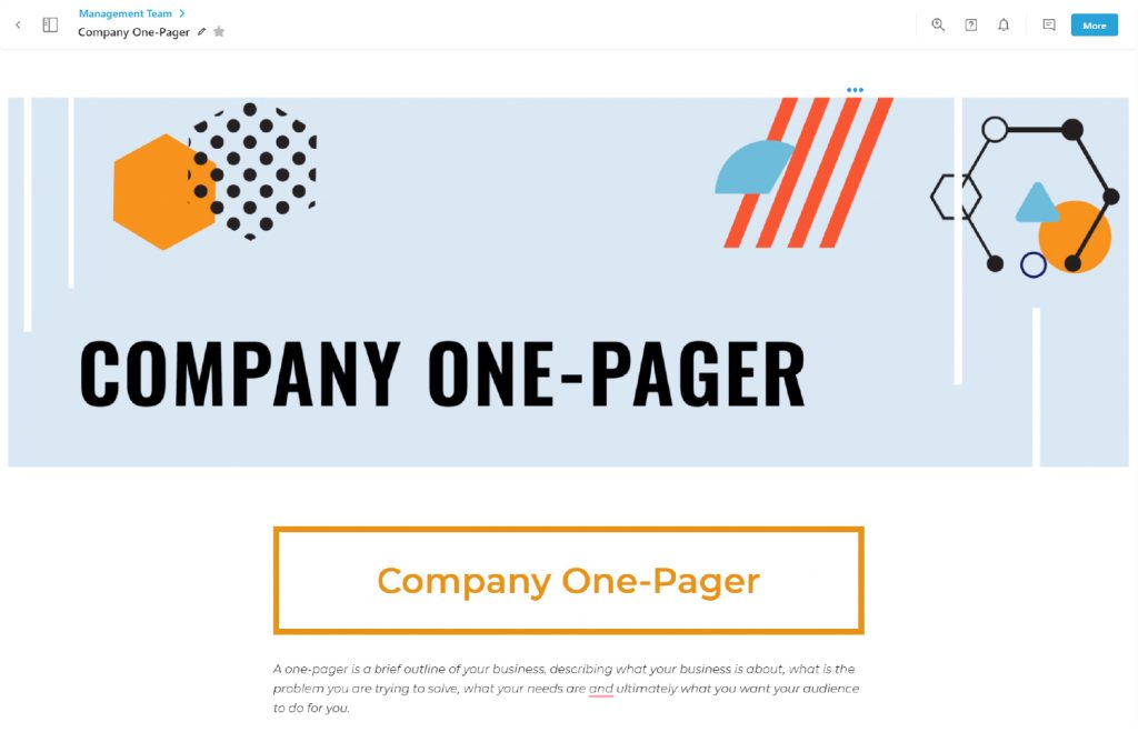 Company one page header
