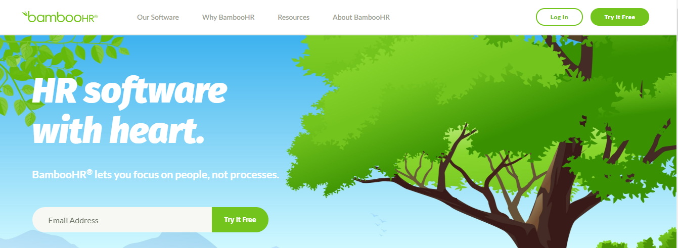 BambooHr: Saas product