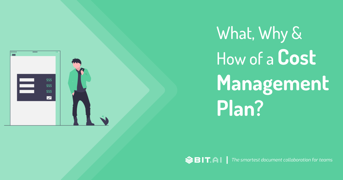 cost management plan example for websight