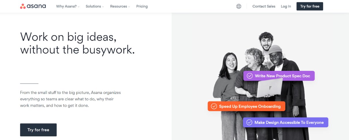 Asana: Team management software