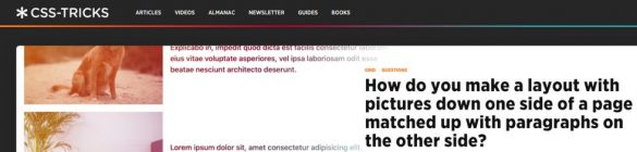 13 Programming Blogs and Websites to Improve Your Coding Skills! - Bit Blog