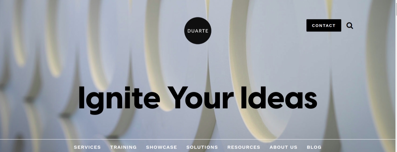 Duarte: Presentation blog and website