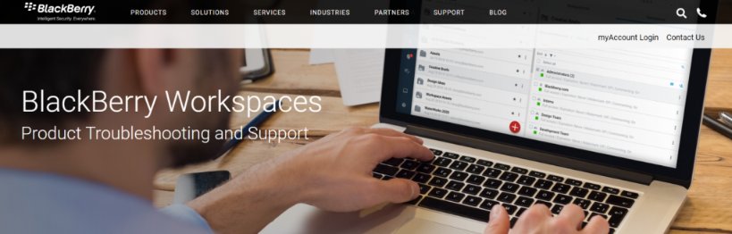 Blackberry workspaces: Virtual data room provider