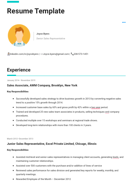 Sales resume example