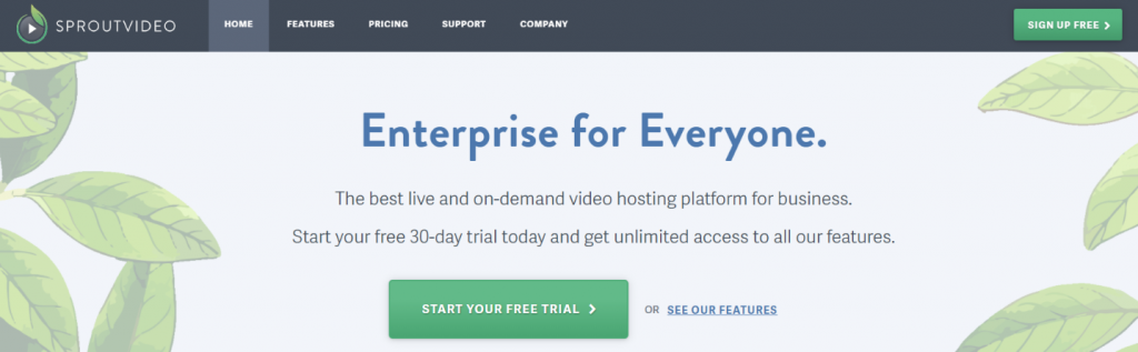 Sproutvideo: Video hosting site