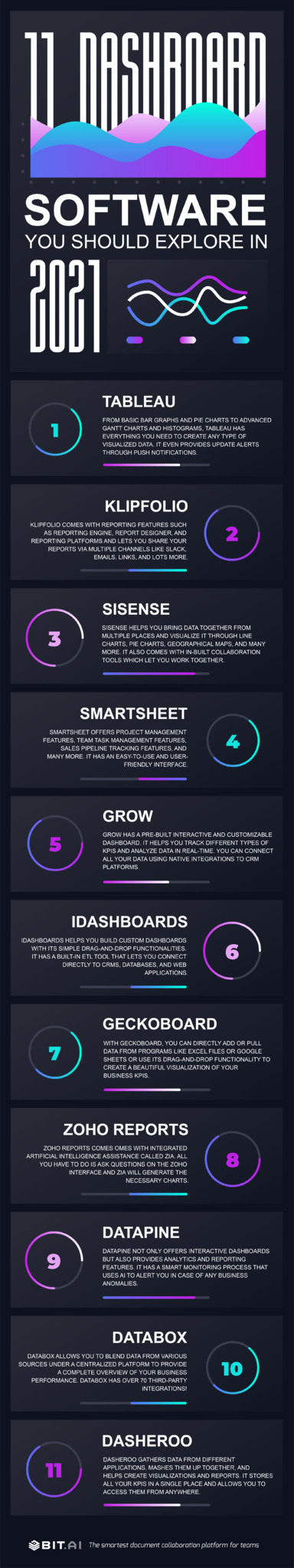 Dashboard software infographic