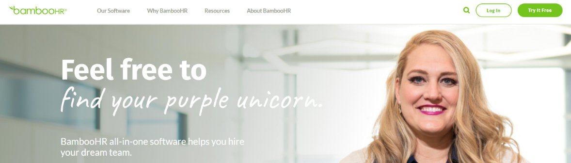Bamboo hr: Employee management systems