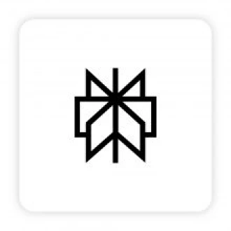 perplexity icon
